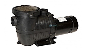 Blue Wave TidalWave 2-Speed  Above Ground Pool Pump | 1.5 HP with Cord | NE6183