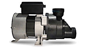 WhirlMaster 1HP 1 Speed Bath Pump with Air Switch | 115V 8.0A | 04210002-5010