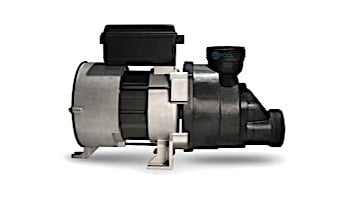 WhirlMaster 1HP 1 Speed Bath Pump with Air Switch | 115V 8.0A | 04210002-5010