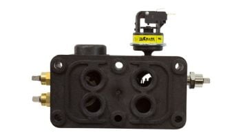 Pentair Heater Manifold Assembly | 474972