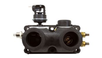 Pentair Heater Manifold Assembly | 474972