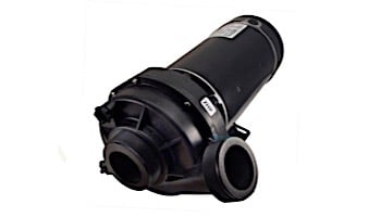 TheraFlo 2.5HP 1SP 230V Sundance / Jacuzzi Pump Assembly | THERAMAX1B