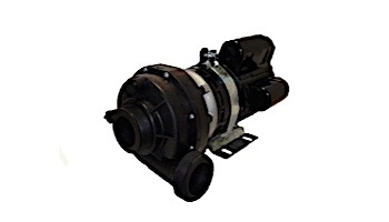TheraFlo 240V 2.0HP 2SP 60HZ Jacuzzi-Sundance Pump | 6500-262