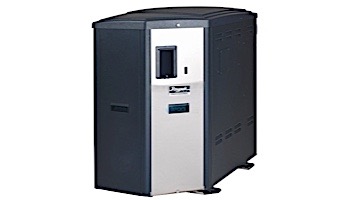 Raypak X94 ASME Digital Professional Condensing Gas Pool Heater | Propane 399BTU | 014281