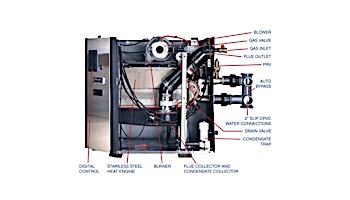 Raypak X94 ASME Digital Professional Condensing Gas Pool Heater | Propane 399BTU | 014281