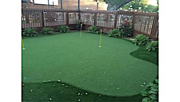 EasyTurf Professional Artificial Putting Green | Golf Green | 15'X1' Increments | UG-PUTT2
