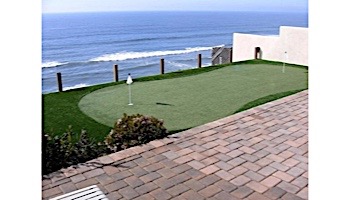 EasyTurf Professional Artificial Putting Green | Golf Green | 15'X1' Increments | UG-PUTT2