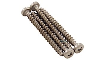 Pentair Prowler Large Screw | 360144