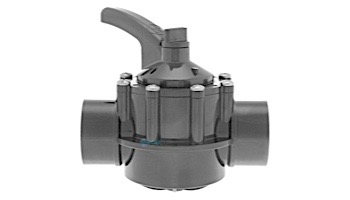 Hayward Straight CPVC Check Valve 1.5 x 2" | PSCV2S