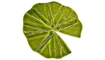 Artistry In Mosaics Lily Pad Mosaic | 6" x 6" | LPAGRES