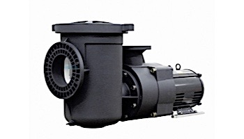 Pentair EQK1000 Series 10HP Nema Premium Efficiency 3-Phase Pool Pump without Strainer 575V | 340150