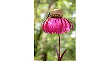 Desert Steel Coneflower Bird Feeder | Sensation Pink | 409-105