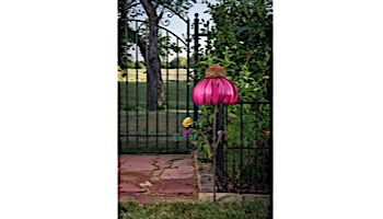 Desert Steel Coneflower Bird Feeder | Sensation Pink | 409-105