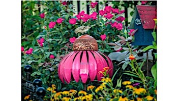 Desert Steel Coneflower Bird Feeder | Sensation Pink | 409-105