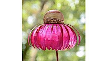 Desert Steel Coneflower Bird Feeder | Sensation Pink | 409-105