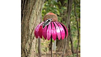 Desert Steel Coneflower Bird Feeder | Sensation Pink | 409-105