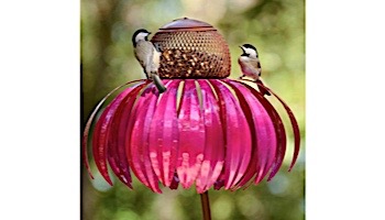 Desert Steel Coneflower Bird Feeder | Sensation Pink | 409-105