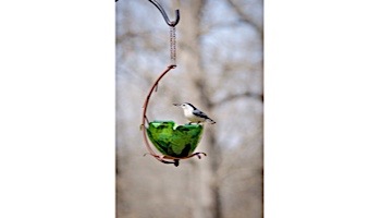 Desert Steel Tulip Tree Blossom Hanging Bird Feeder | 409-109