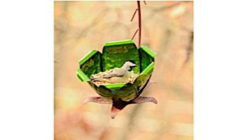Desert Steel Tulip Tree Blossom Hanging Bird Feeder | 409-109