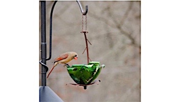 Desert Steel Tulip Tree Blossom Hanging Bird Feeder | 409-109