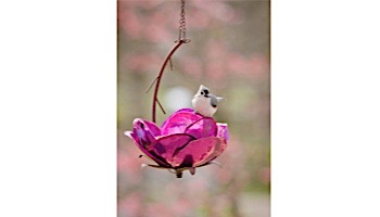 Desert Steel Crab Apple Blossom Hanging Bird Feeder | 409-108