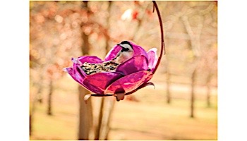 Desert Steel Crab Apple Blossom Hanging Bird Feeder | 409-108