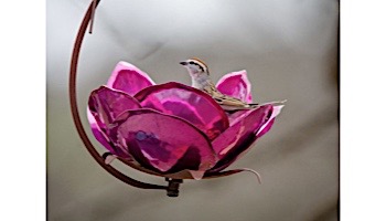 Desert Steel Crab Apple Blossom Hanging Bird Feeder | 409-108