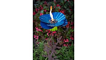 Desert Steel Himalayan Poppy Garden Torch | 409-005