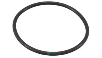 AutoPilot Pool Pilot Nano Tri-Sensor O-Ring | 19028