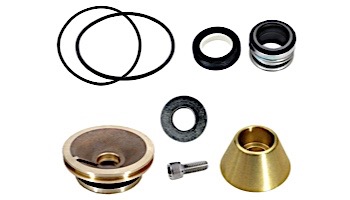 Aladdin for Pentair C-Series Commercial Bronze Pool Pumps | GO-KIT11