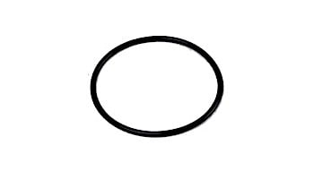 Aladdin Standpipe O-Ring | Used on Pentair, Hayward Filters | O-24-9