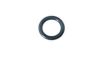Aladdin O-Ring For Hayward, Letro, SwimQuip and Arneson | O-30-9