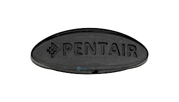 Pentair Rubber Button Kit | 360258