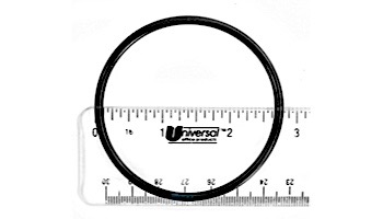 Pentair Feed Line O-Ring Kit | 360268