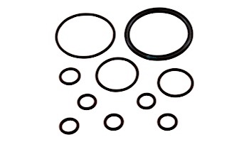 Pentair Feed Line O-Ring Kit | 360268