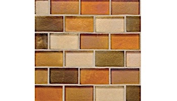 National Pool Tile Spectra 7/8 x 1 7/8 Glass | Harvest | OCN-HARVEST1X2