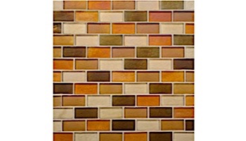 National Pool Tile Spectra 7/8 x 1 7/8 Glass | Harvest | OCN-HARVEST1X2