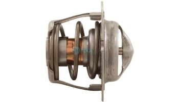 Pentair Thermal Regulator for Heater Water System | 474989