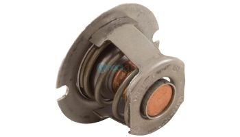 Pentair Thermal Regulator for Heater Water System | 474989