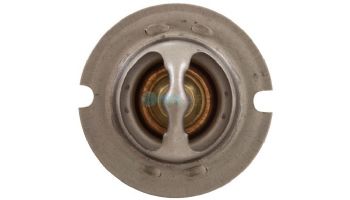 Pentair Thermal Regulator for Heater Water System | 474989