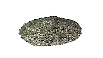 Abalone Shell Bagabalone #3 | ADD-ABA-SHL