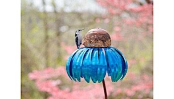 Desert Steel Coneflower Bird Feeder | Blueberry Pie | 409-115