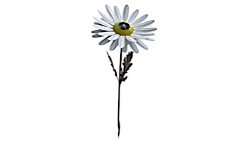 Desert Steel Daisy Garden Torch | White | 409-006