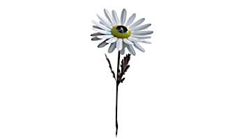White Daisy Garden Torch