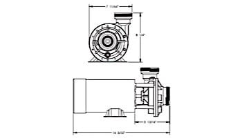 Waterway Hi-Flo II Above Ground Pool Pump and Trap | 2 Speed 1.5-HP 48-Frame Side Discharge | 115V 3 ft. Twist-Lock Cord | PH2150-H3 | PH2150-3