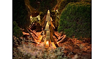 Desert Steel Evergreen Luminary | 412-200