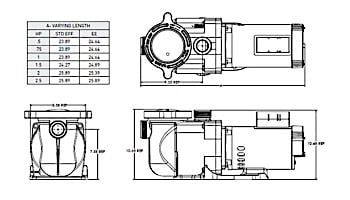 Sta-Rite SuperMax 3/4HP  High Performance Energy Efficient Single Speed Pool Pump 230V | PHK2E6D-101L