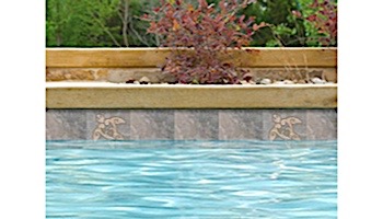 National Pool Tile Sierra 6x6 Turtle Deco | Blue Slate | CLD-BSL-TR1