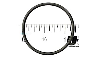 Aladdin Jet O-Ring  POL-91005132 | O-441