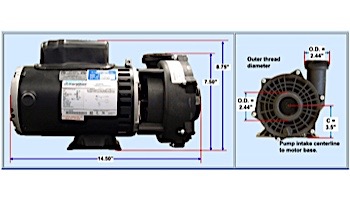 Acura Spa Maverick Spa and Hot Tub Pump | 2 Speed 3HP 230V | AE23020ME
